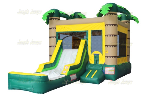 Wet/Dry Bounce House